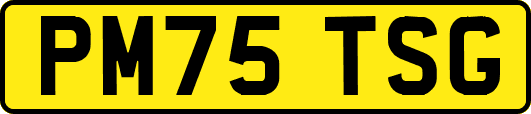 PM75TSG