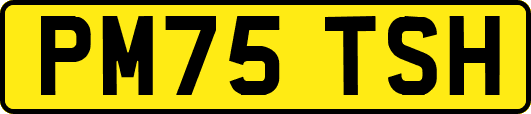 PM75TSH