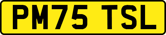 PM75TSL