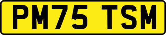 PM75TSM