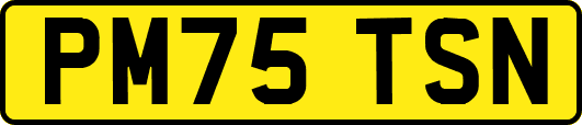 PM75TSN