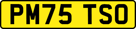 PM75TSO