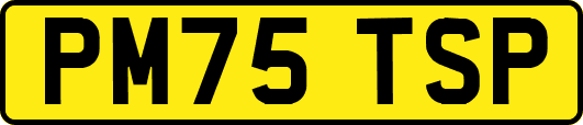 PM75TSP