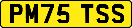PM75TSS