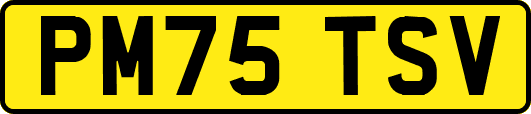 PM75TSV
