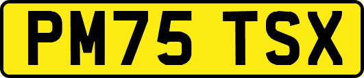 PM75TSX