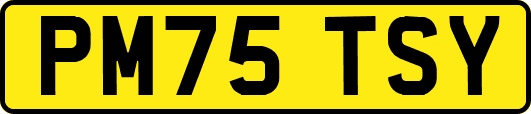 PM75TSY
