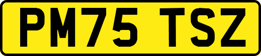 PM75TSZ