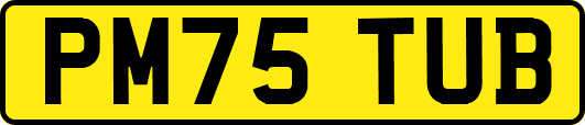 PM75TUB