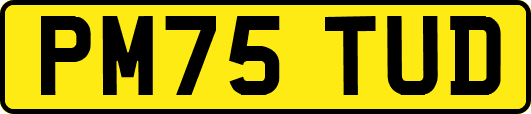 PM75TUD