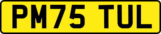 PM75TUL