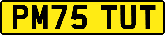 PM75TUT