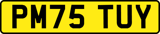 PM75TUY