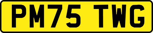 PM75TWG