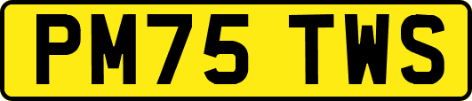 PM75TWS