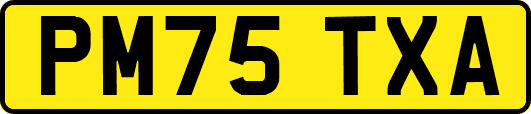 PM75TXA