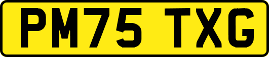 PM75TXG