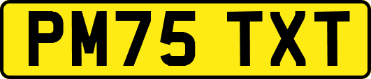PM75TXT