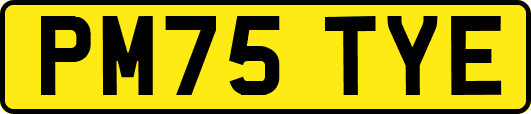 PM75TYE