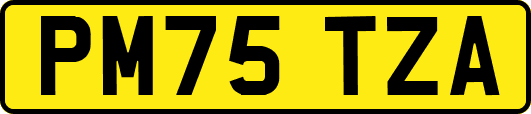 PM75TZA