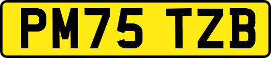 PM75TZB