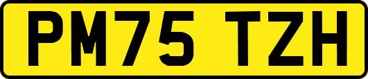 PM75TZH