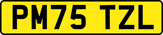 PM75TZL