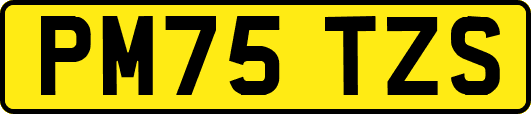 PM75TZS