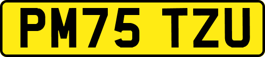 PM75TZU