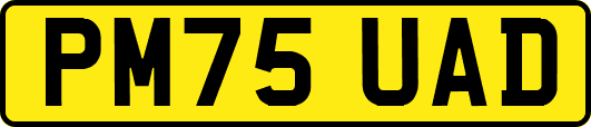 PM75UAD
