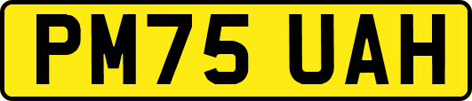 PM75UAH