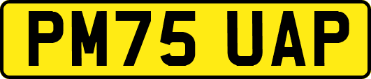 PM75UAP