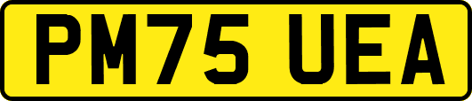 PM75UEA