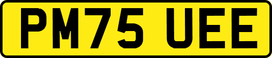 PM75UEE