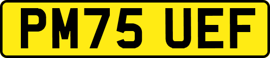 PM75UEF