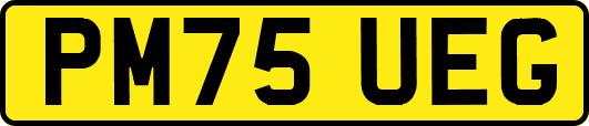 PM75UEG
