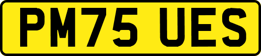 PM75UES