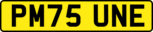 PM75UNE