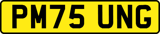 PM75UNG