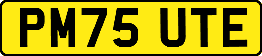 PM75UTE