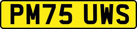 PM75UWS