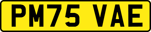 PM75VAE