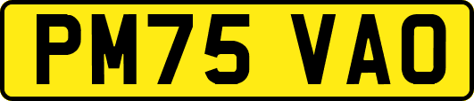 PM75VAO