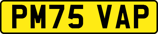 PM75VAP