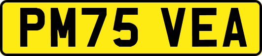 PM75VEA