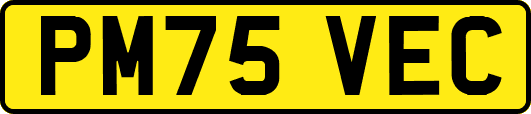 PM75VEC