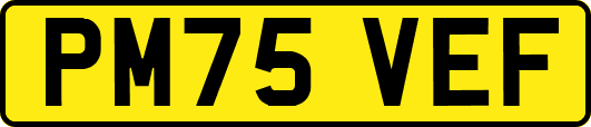 PM75VEF