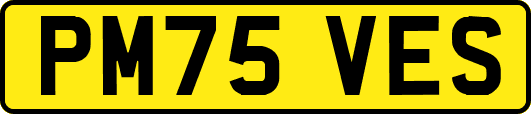 PM75VES
