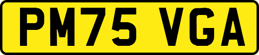PM75VGA