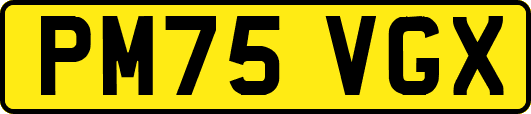 PM75VGX